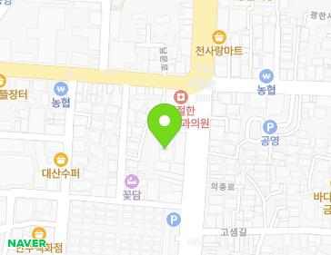 전북특별자치도 남원시 의총로 61 (금동, 성림장) 지도