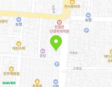 전북특별자치도 남원시 의총로 55 (금동) 지도