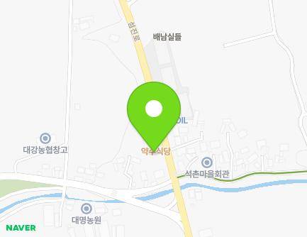 전북특별자치도 남원시 대강면 섬진로 809 (약수식당) 지도
