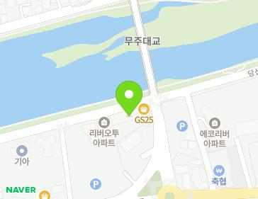 전북특별자치도 무주군 무주읍 당산강변로 240 (리버캐슬) 지도