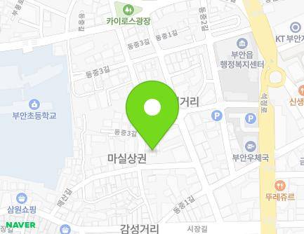 전북특별자치도 부안군 부안읍 동중3길 17 지도