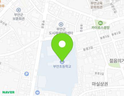 전북특별자치도 부안군 부안읍 부풍로 29 (부안초등학교) 지도
