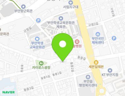 전북특별자치도 부안군 부안읍 동중길 28 (광주회관) 지도
