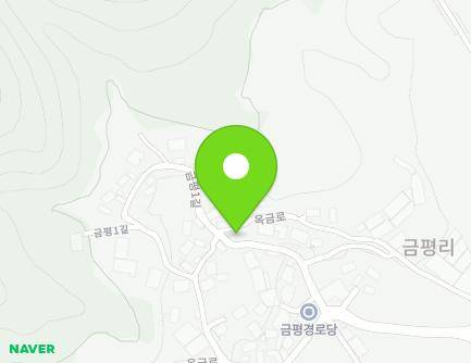 전북특별자치도 임실군 지사면 금평1길 13 (정미소) 지도