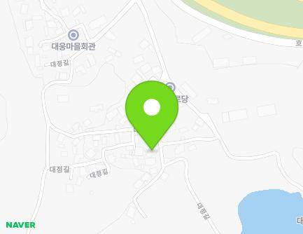 전북특별자치도 전주시 덕진구 대정길 54 (성덕동) 지도
