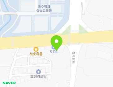 전북특별자치도 전주시 완산구 콩쥐팥쥐로 1560 (상림동, 상림주유소) 지도