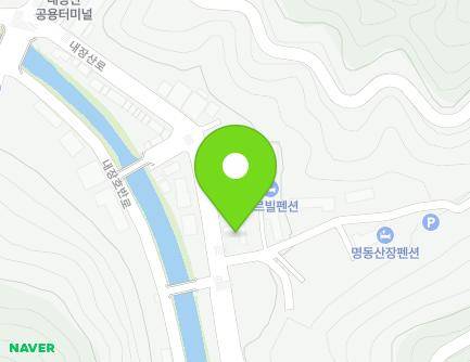 전북특별자치도 정읍시 내장산로 941-3 (내장동, 한술식당) 지도