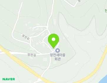 전북특별자치도 진안군 동향면 장전길 17 지도