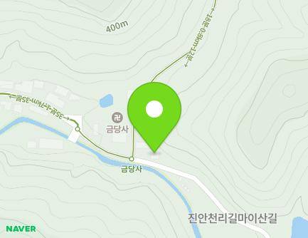 전북특별자치도 진안군 마령면 마이산남로 227 (수류화개실) 지도