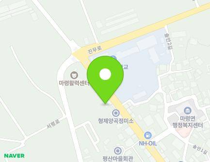 전북특별자치도 진안군 마령면 임진로 2117-1 (마령닭집) 지도