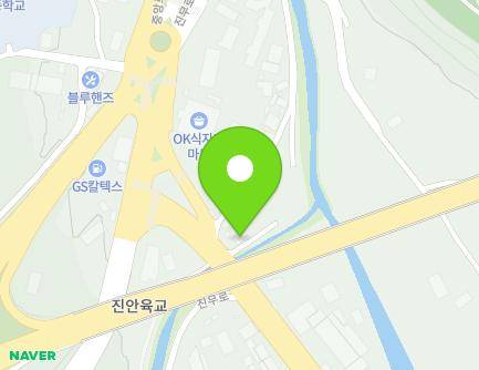 전북특별자치도 진안군 진안읍 진무로 990 지도