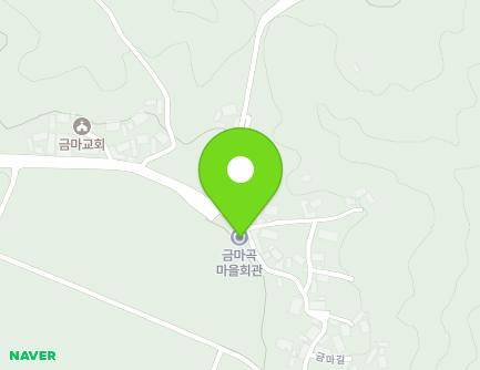 전북특별자치도 진안군 진안읍 금마길 218 (금마곡마을회관) 지도