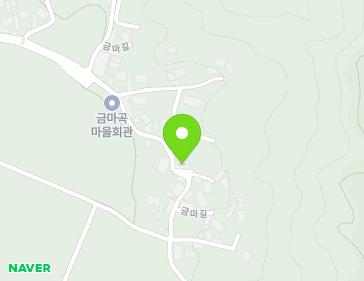 전북특별자치도 진안군 진안읍 금마길 227 (금마곡경로당) 지도