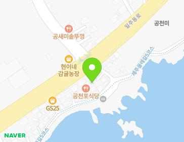제주특별자치도 서귀포시 남원읍 공천포로 95-3 지도