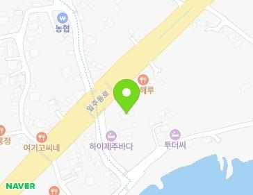 제주특별자치도 서귀포시 남원읍 태신해안로 245-10 지도