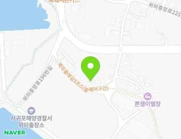 제주특별자치도 서귀포시 남원읍 위미중앙로196번길 13 지도