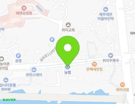 제주특별자치도 서귀포시 남원읍 태위로 126 지도