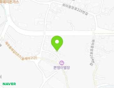 제주특별자치도 서귀포시 남원읍 위미중앙로196번길 22-7 지도