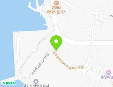 제주특별자치도 서귀포시 남원읍 위미중앙로196번길 7 지도