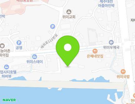 제주특별자치도 서귀포시 남원읍 태위로 124 지도