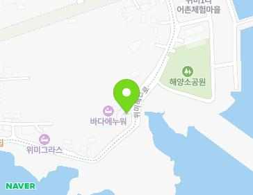 제주특별자치도 서귀포시 남원읍 위미해안로 60 지도