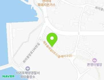 제주특별자치도 서귀포시 남원읍 위미중앙로196번길 9 지도