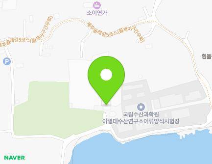 제주특별자치도 서귀포시 남원읍 태위로360번길 118 (대성수산) 지도