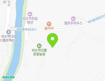 제주특별자치도 서귀포시 남원읍 하례로 90-10 지도