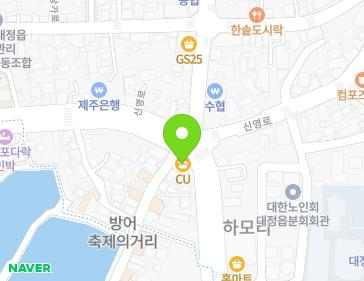 제주특별자치도 서귀포시 대정읍 최남단해안로 2 (송어낚시) 지도