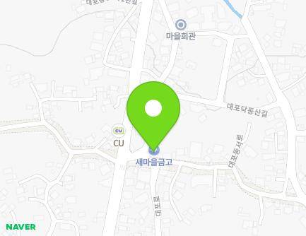제주특별자치도 서귀포시 대포로 79 (대포동, 대포새마을금고) 지도
