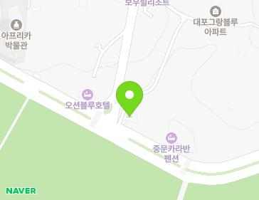 제주특별자치도 서귀포시 이어도로 75 (대포동, 대포어촌횟집) 지도