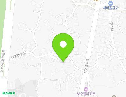 제주특별자치도 서귀포시 대포연대로 38 (대포동) 지도