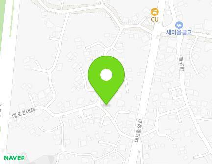 제주특별자치도 서귀포시 대포연대로 35 (대포동) 지도