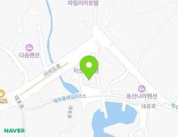 제주특별자치도 서귀포시 대포로 161 (대포동, 큰갯물횟집) 지도