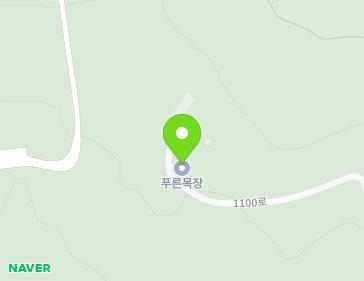 제주특별자치도 서귀포시 1100로 731-34 (대포동, 푸른목장) 지도