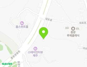 제주특별자치도 서귀포시 중문관광로 294 (대포동, 페이퍼숲) 지도