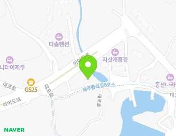 제주특별자치도 서귀포시 대포로 155 (대포동, 캐슬비치민박) 지도