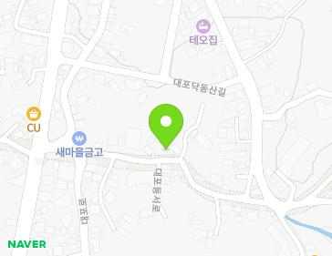 제주특별자치도 서귀포시 대포동서로 124 (대포동) 지도