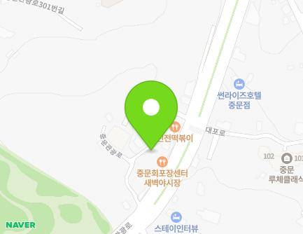 제주특별자치도 서귀포시 중문관광로 287-8 (대포동) 지도