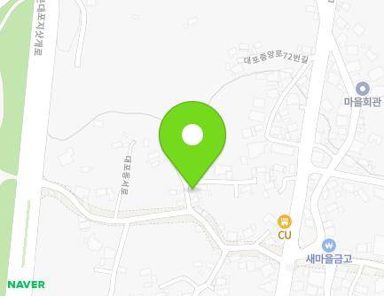 제주특별자치도 서귀포시 대포동서로154번길 2 (대포동) 지도