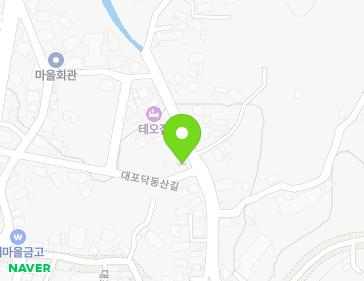 제주특별자치도 서귀포시 대포복개로 55 (대포동) 지도