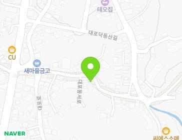 제주특별자치도 서귀포시 대포동서로 121 (대포동) 지도