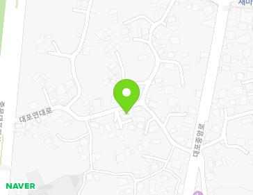 제주특별자치도 서귀포시 대포연대로 32 (대포동) 지도