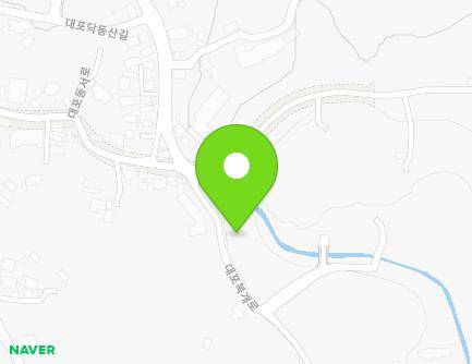 제주특별자치도 서귀포시 대포복개로 34 (대포동) 지도