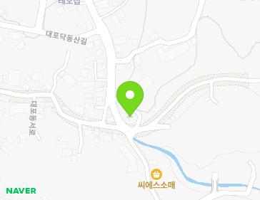 제주특별자치도 서귀포시 대포복개로 42 (대포동) 지도