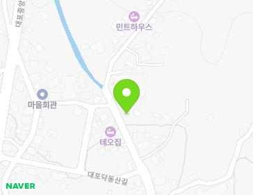 제주특별자치도 서귀포시 대포복개로 62 (대포동) 지도