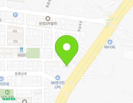 제주특별자치도 서귀포시 516로 23 (동홍동) 지도