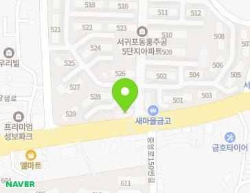 제주특별자치도 서귀포시 중산간동로 8004 (동홍동) 지도