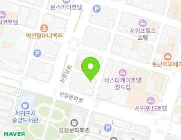 제주특별자치도 서귀포시 김정문화로41번길 3 (법환동, 더프라임) 지도