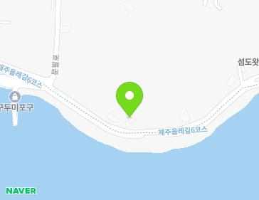 제주특별자치도 서귀포시 보목로64번길 54 (보목동) 지도